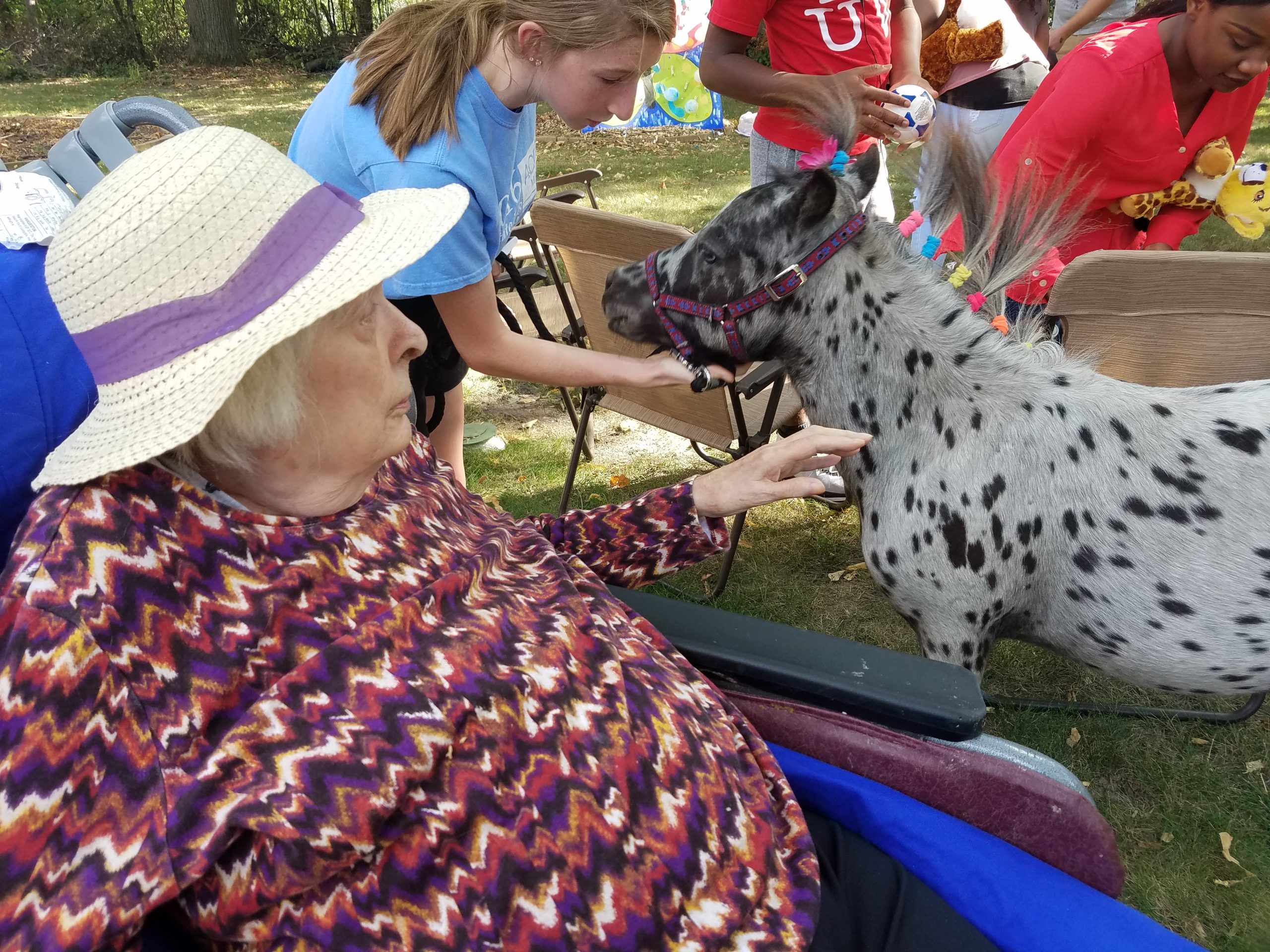 Oakridge Assisted Living Grace Homes Hopkins, MN